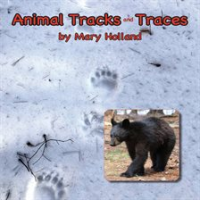 Animal_Tracks_and_Traces